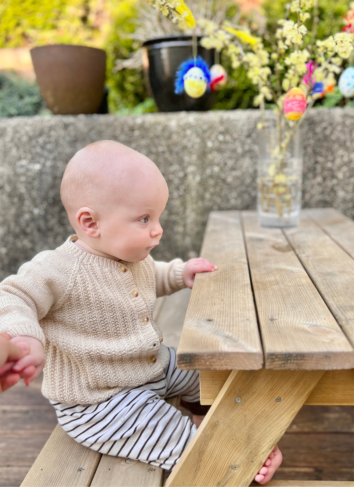 Hallaien Cardigan