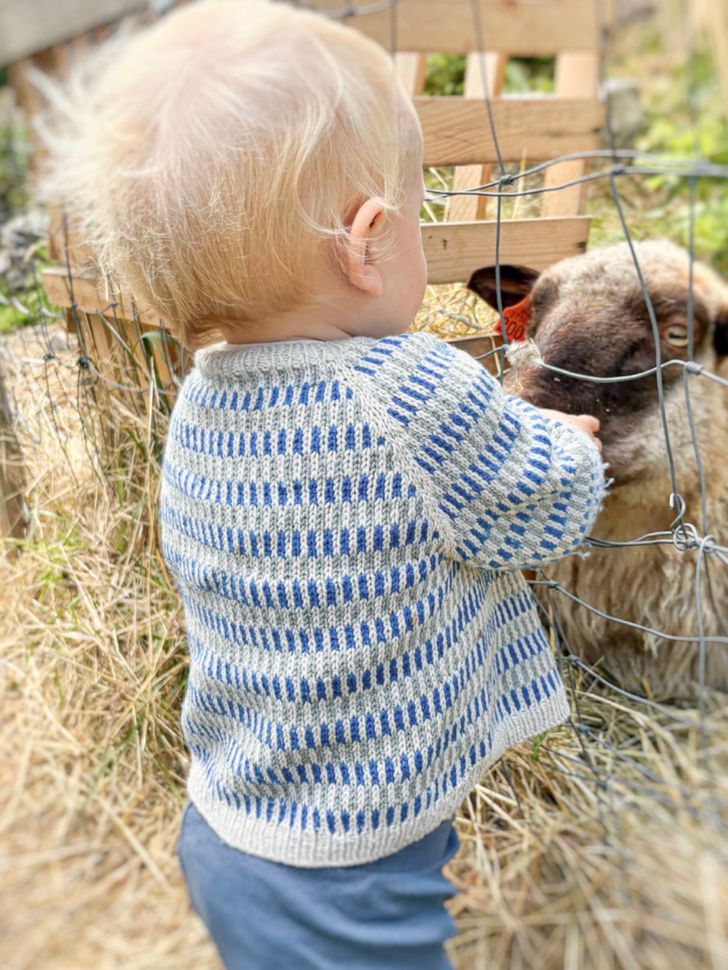 Isdalen Sweater